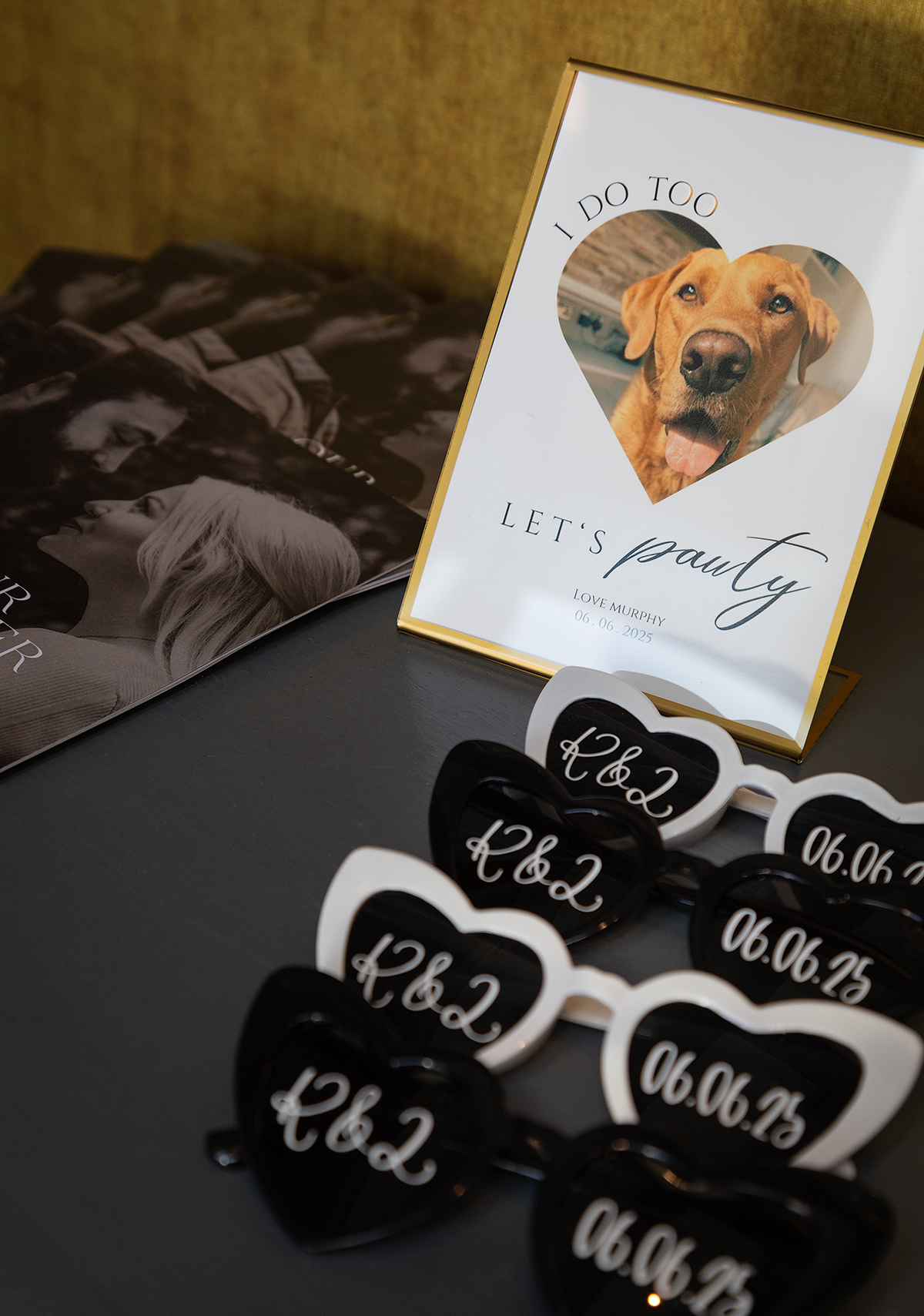 ANA_Dog-sunglasses-details.jpg#asset:4204