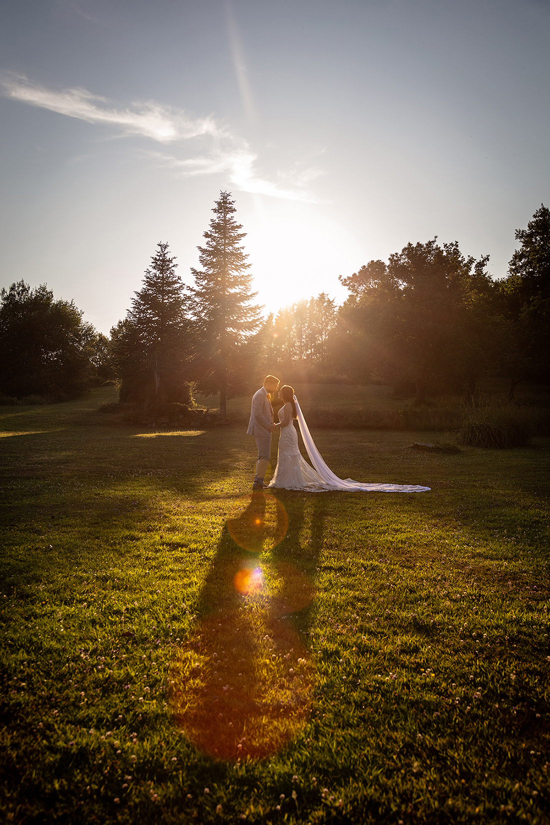 CAN_sunset-woodlands-portrait-2.jpg#asset:4287