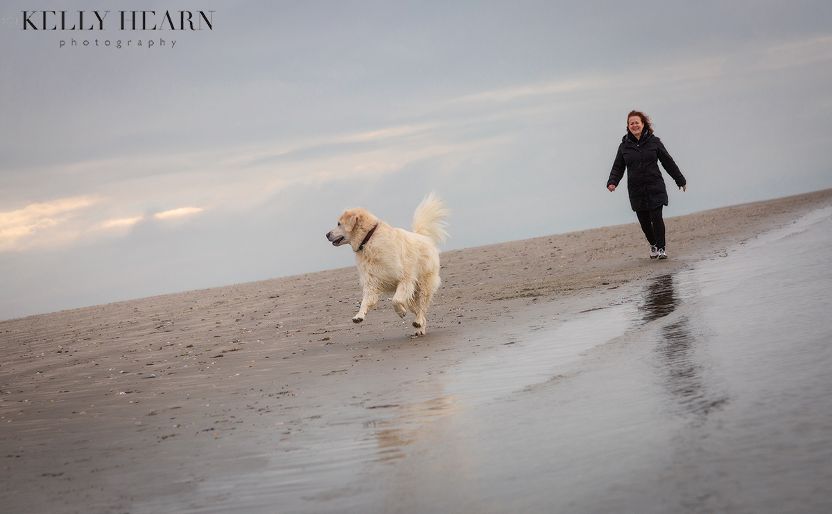 DOG_Beach-walks-portrait.jpg#asset:2991