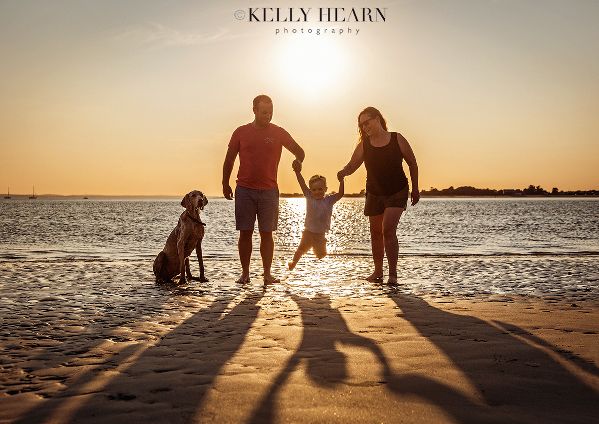 DOG_family-portrait-beach.jpg#asset:2995