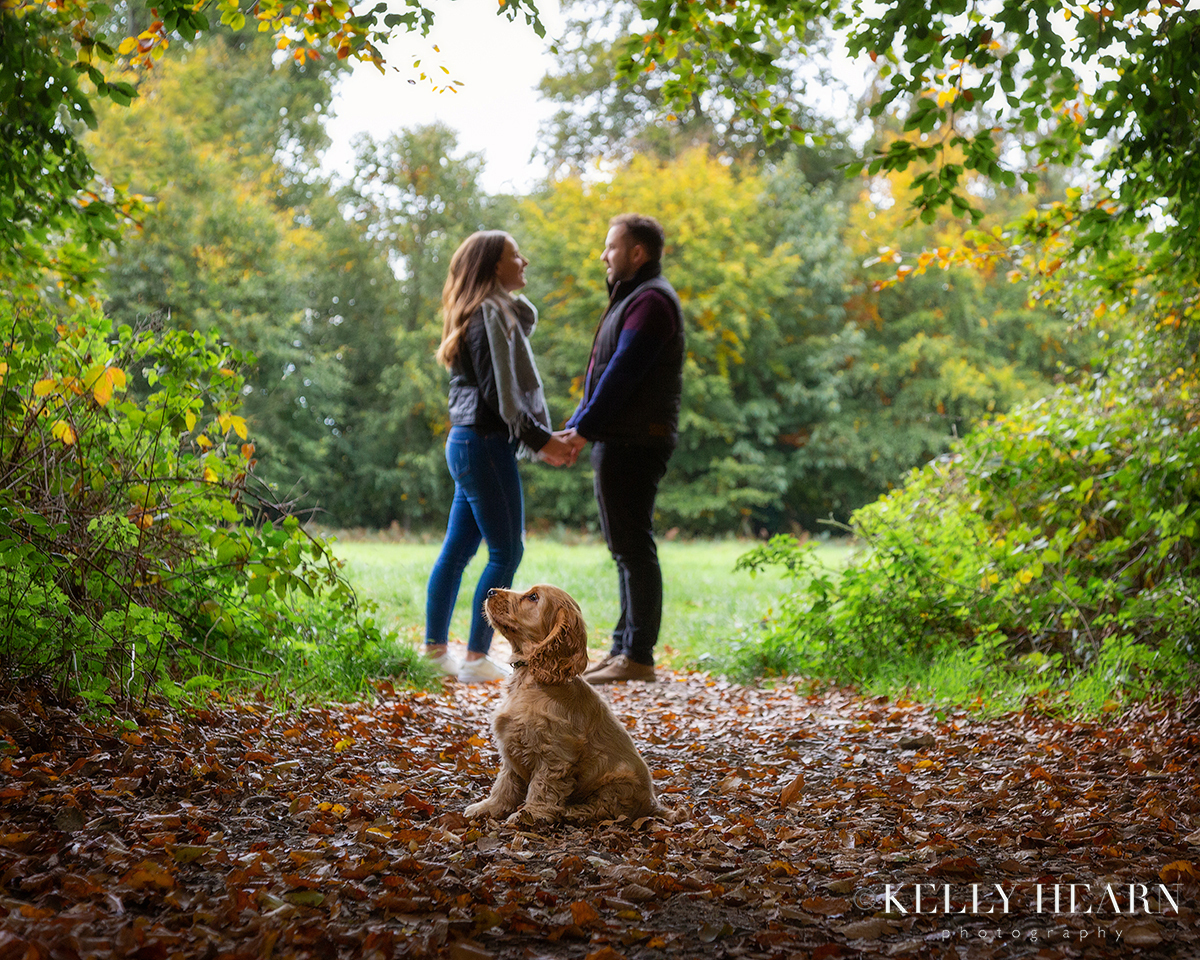 DOG_family-portrait-pet-photography.jpg#asset:2996