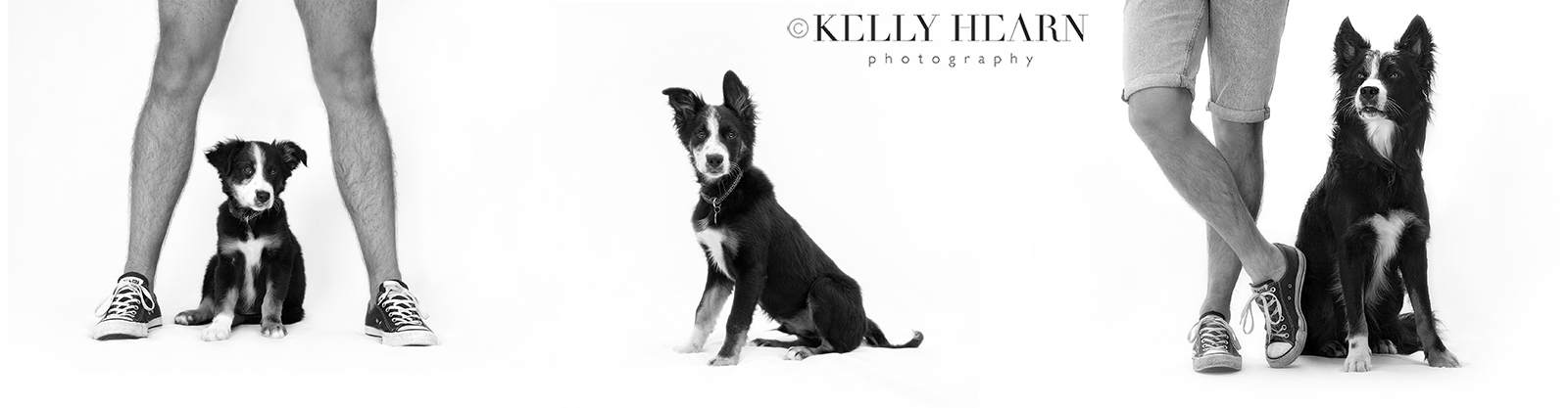 DOG_puppy-portrait-blackandwhite.jpg#asset:3002