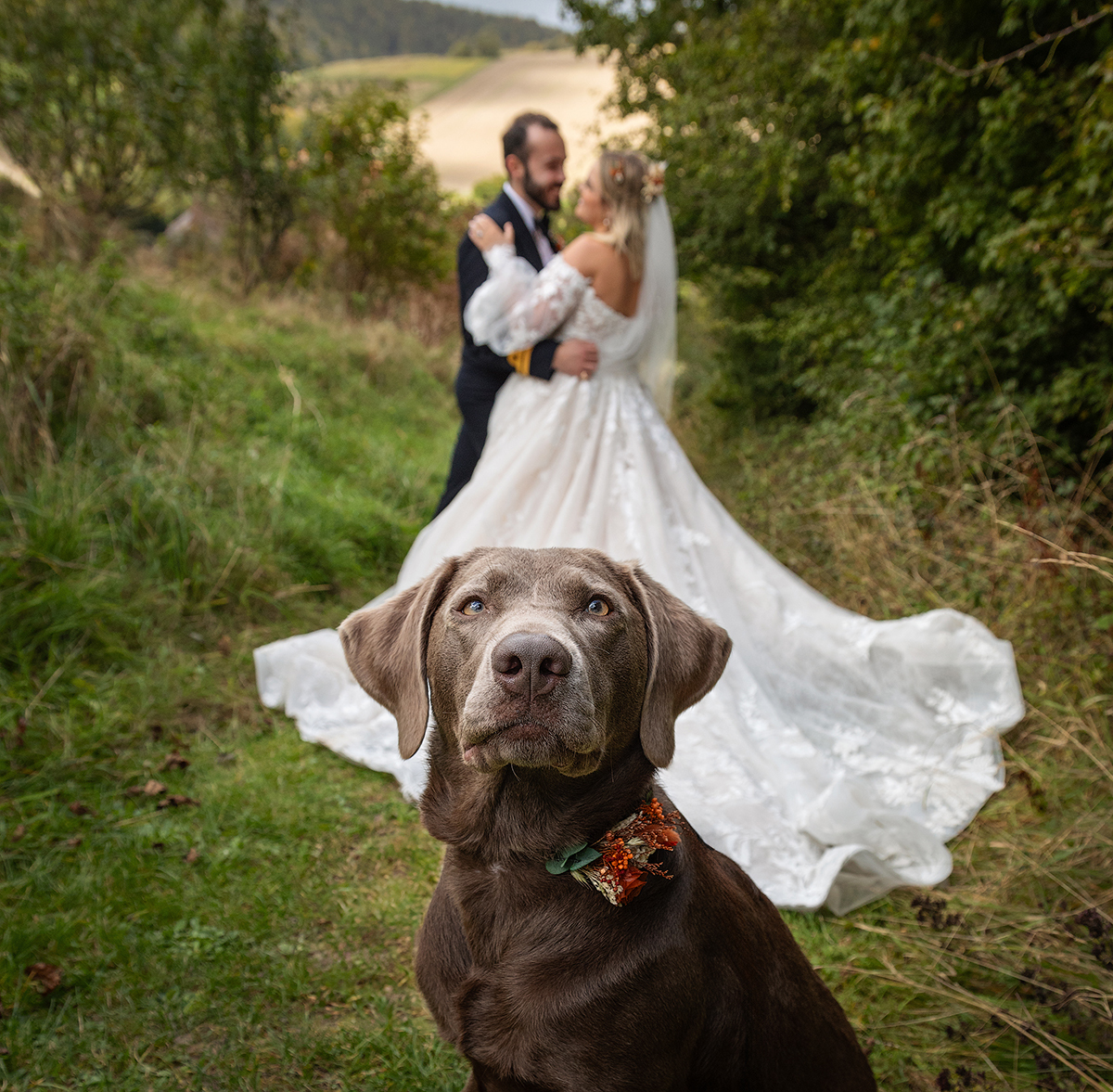 HATC_wedding-couple-dog.jpg#asset:4057