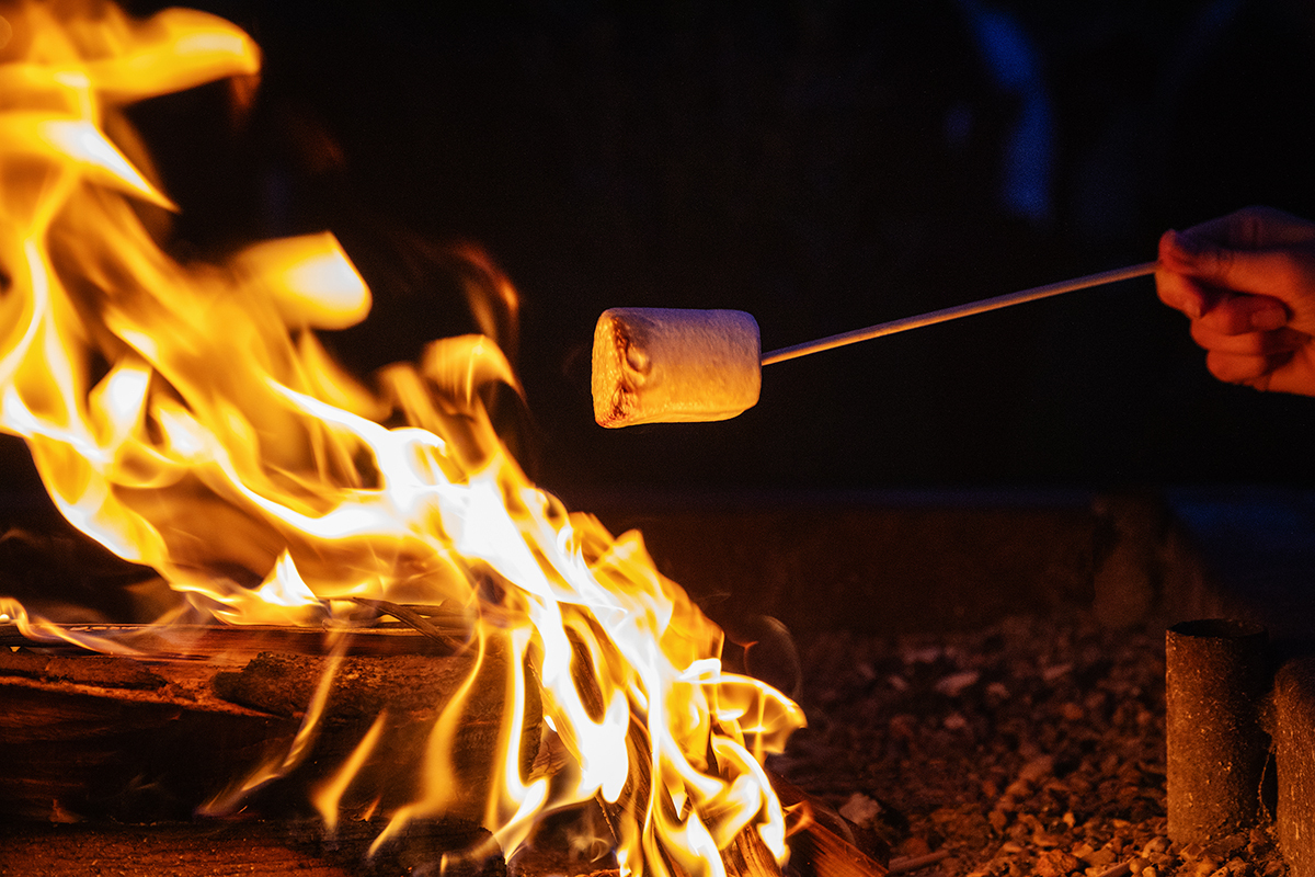 MCL_fire-marshmallow-toasting.jpg#asset:4609
