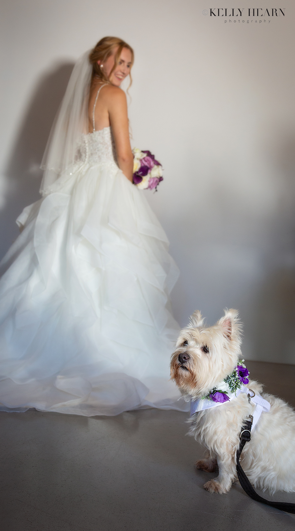 TYN_bride-and-her-dog.jpg#asset:2636